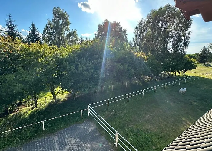 Nad Stajnia Apartment